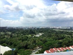 Ivory Heights (D22), Condominium #521640631